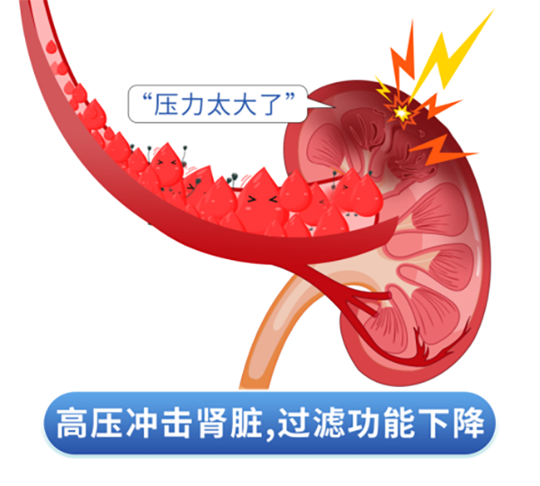 640 (7).png 640 (7).png