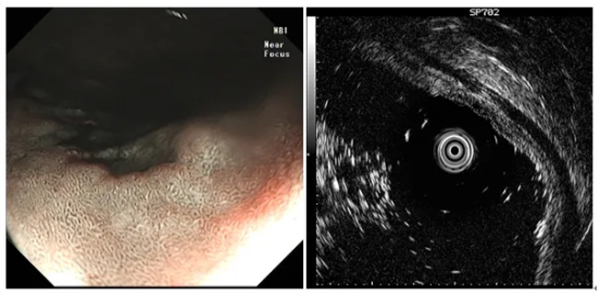 微信(xin)截圖_20240417142321.jpg 微信(xin)截圖_20240417142321.jpg