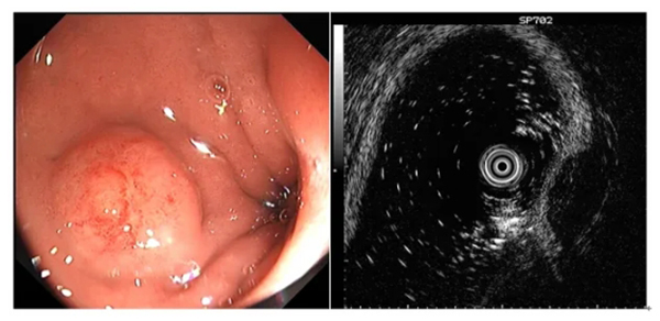 微信(xin)截圖_20240417142333.jpg 微信(xin)截圖_20240417142333.jpg