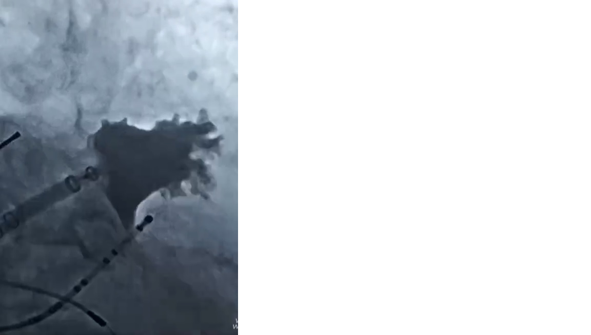 圖片1.png 圖片1.png