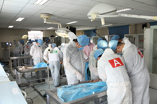 IMG_1594.JPG IMG_1594.JPG